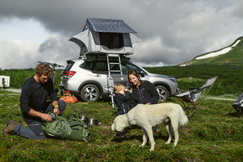 Thule Tepui Explorer Kukenam 3 - person roof top tent haze gray - 9013 ...