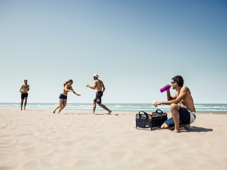 Thule Go Box storage solution medium black/gray - 306929