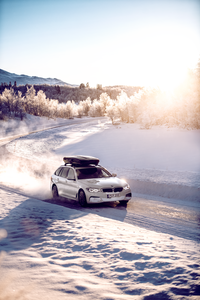 Thule Motion XT Alpine ski roof box black glossy - 629506