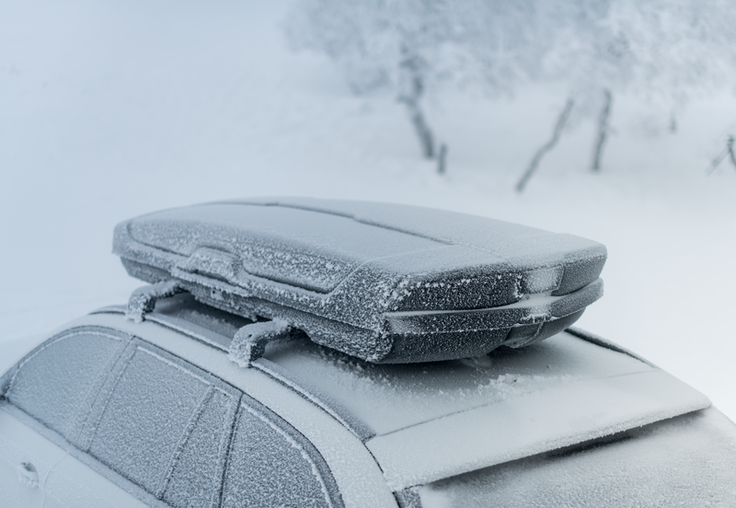 Thule Motion XT Alpine ski roof box black glossy - 629506